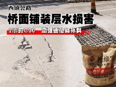 橋面鋪裝層水損害病害解決